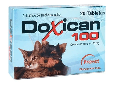 Doxicam