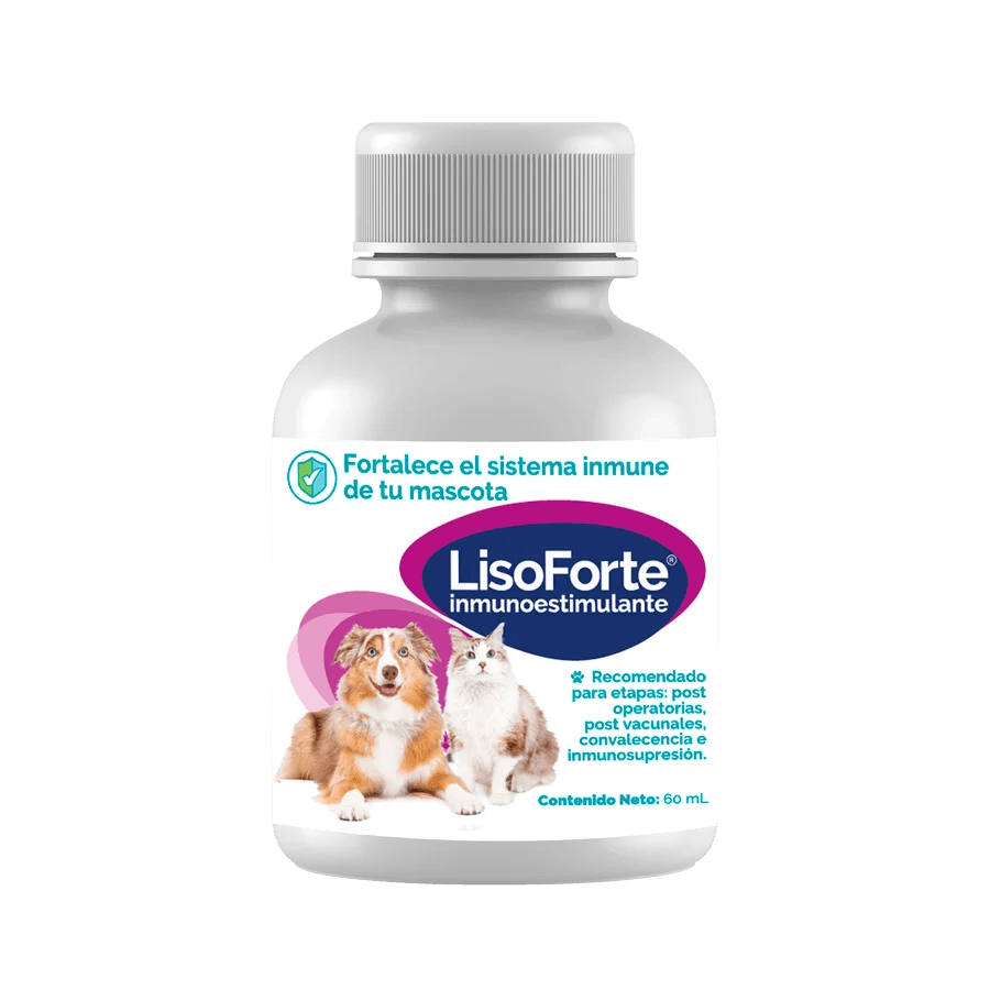 Lisoforte 60 ml