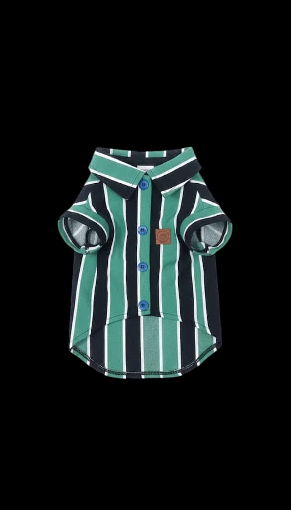 Camisa "Bosque a Rayas" - Edición Galán